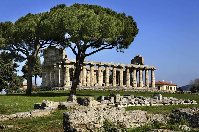 Tour in the Ruins of Paestum With an Archaeologist - Pricing