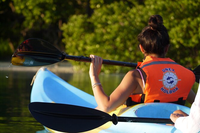 Tour the Mangroves in Kayak by Isla Holbox - Cancellation and Weather Policy