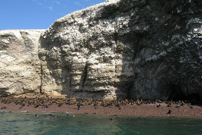 Tour to Ballestas Islands in Paracas - Booking and Flexibility