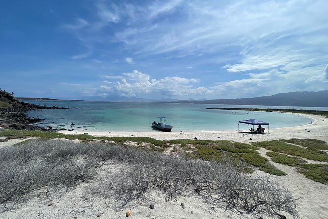 Tour to Coronados Island With Snorkeling Activity. - Highlights of the Tour
