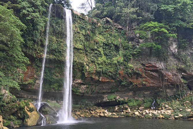 Tour to Palenque and Cascada De Misol Ha - Assistance and Questions