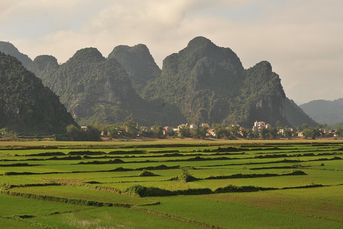 Tour to the Caves ONE DAY Tour to Phong Nha and Paradise Caves - Discovering the Spectacular Paradise Cave