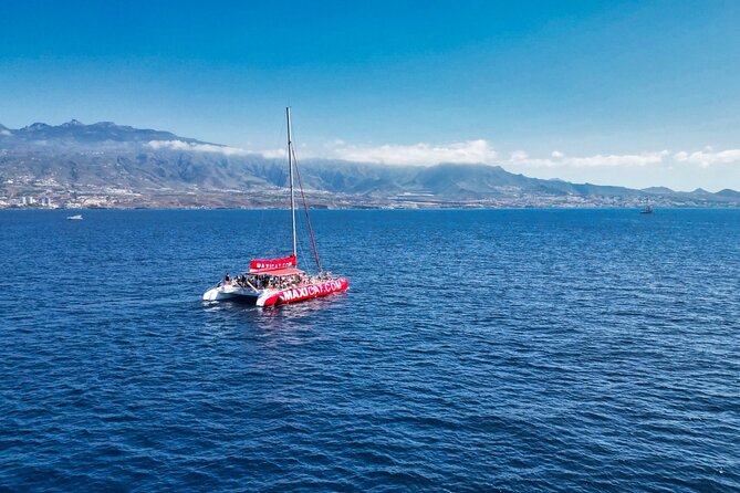 Tour With Whale and Dolphin Watching Plus Food Included - Customer Reviews and Ratings