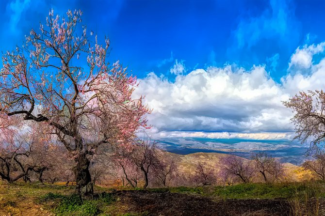 Touristic Highlights of Sierra Nevada on a Private Full Day Tour With a Local - Cultural Experiences