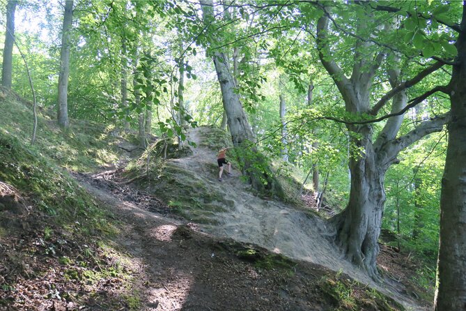 Trail Running Adventure Greater Copenhagen - Additional Information