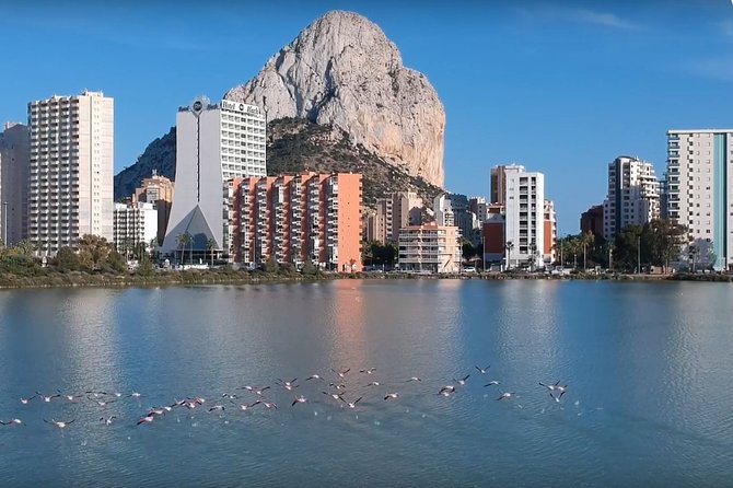 Transfer From Alicante Airport to Calpe in Private Sedan Car Max. 3 Passengers - How to Book the Private Sedan Car Transfer Service