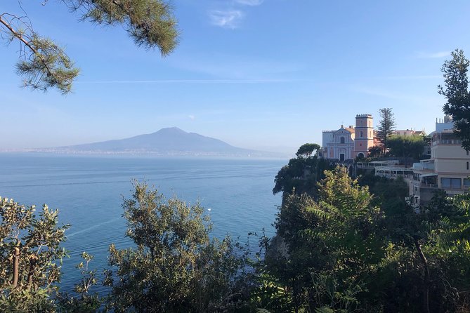 Transfer From Civitavecchia to Sorrento - Overview of the Transfer Service