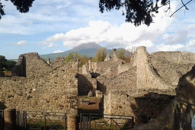 Transfer From Naples to Sorrento With a 2-Hour Stop in Pompeii - Reviews