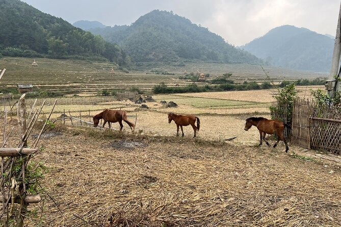 Trekking Ban Gioc Waterfall to Hidden Village on Unique Route - Pricing and Inclusions
