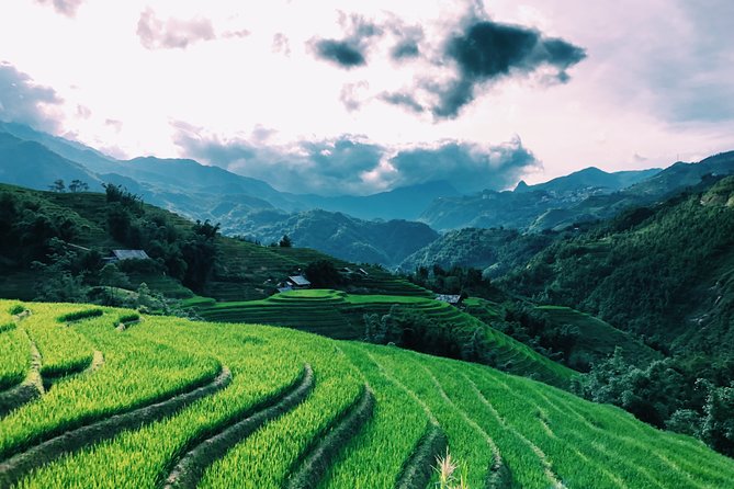 Trekking Sapa 2 Days 1 Night - Accommodation: Comfortable Stay in Sapa