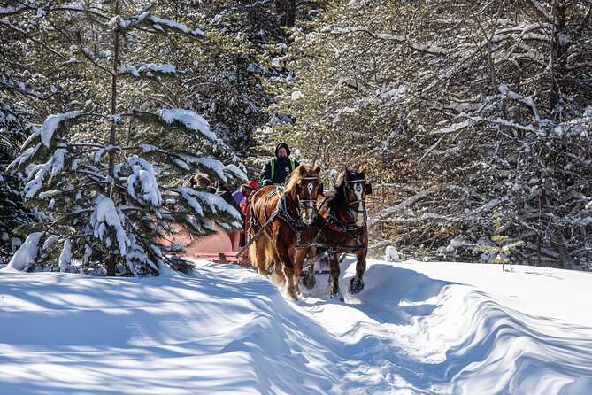 Tremblant Sleighride - Inclusions and Meeting Details
