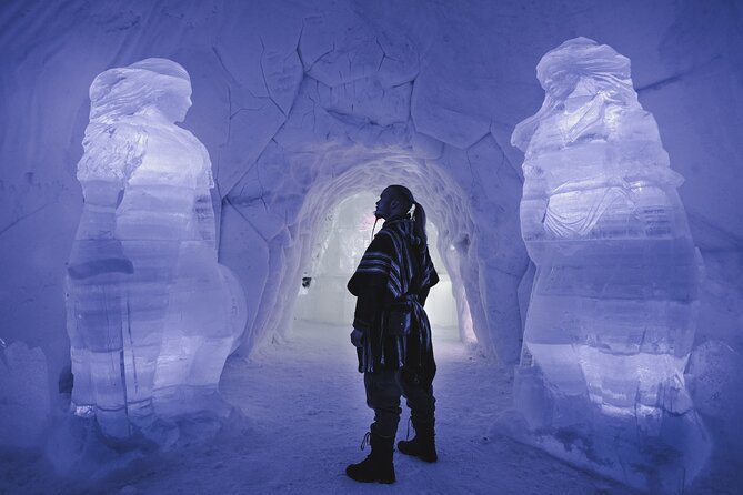 Tromsø Ice Domes Guided Tour and Reindeer Visit - Traveler Photos