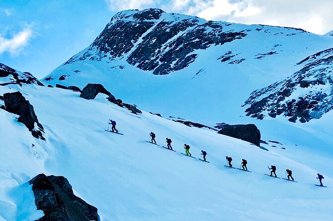 Tromsø Small-Group Half-Day Cross-Country Skiing Trip  - Tromso - Cancellation Policy