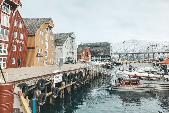 Tromso Small-Group Walking Tour - Tour Overview