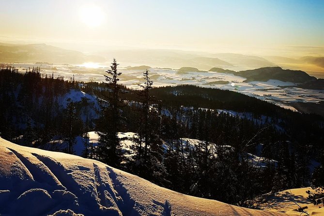Trondheim Forest Sledding and Tram Tour - Pickup Details