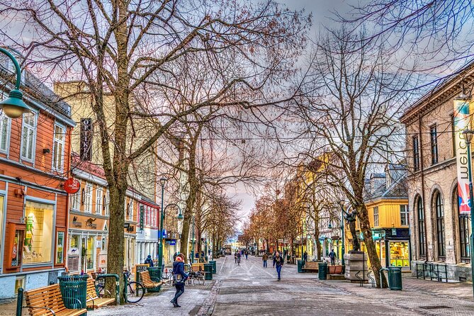Trondheim Private Walking Tour - Booking Process