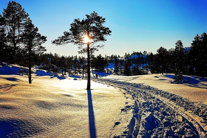 Trondheim Small-Group Cross-Country Skiing Adventure - Pickup and Drop-off