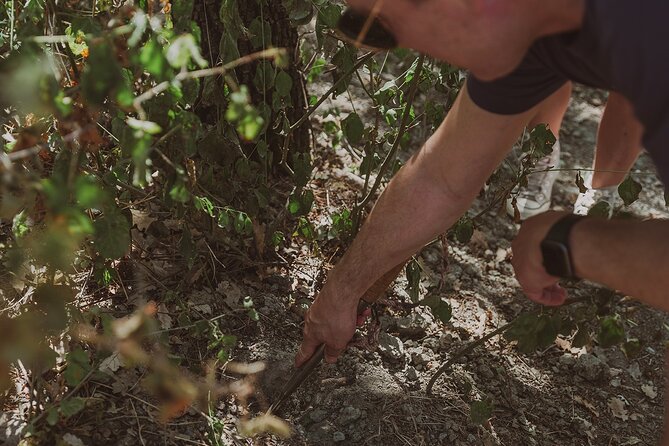 Truffle Hunt in Tuscany - Duration and Language Options