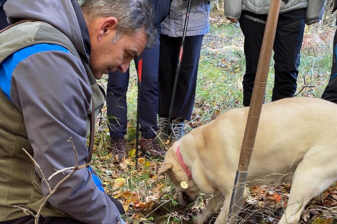 Truffle Tracers From Chalkidiki - Exploring Chalkidikis Truffle Cuisine