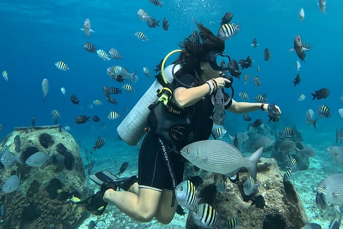 Try Diving Without Prior Experience - Equipment and Gear Needed for Beginner Diving