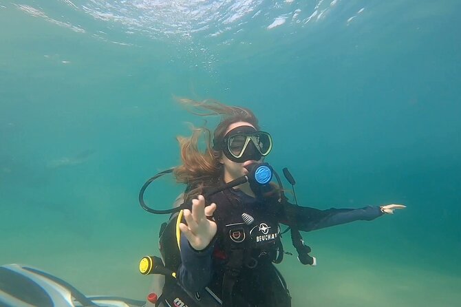 Try Scuba Dive in Qatar - End Point and Pickup Details
