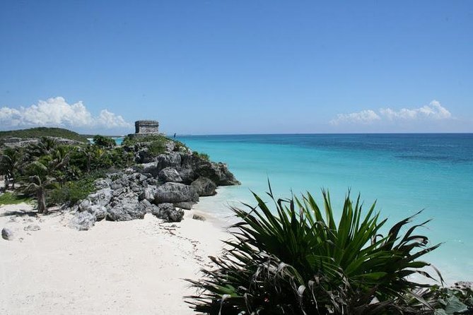 Tulum and Cenote Casa Tortuga Day Trip - Tour Guide Excellence