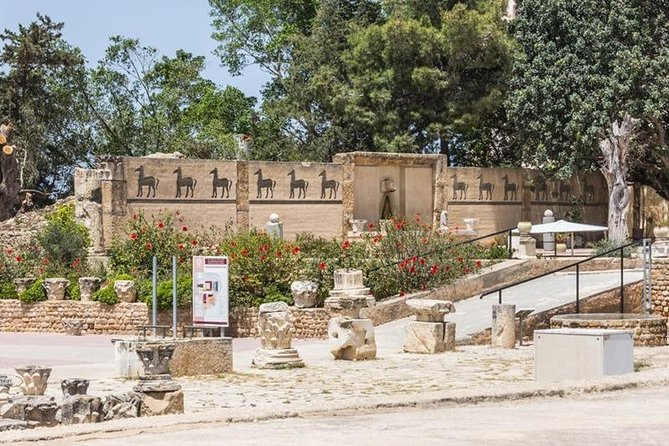 Tunis Full-Day Group Tour: Carthage, Sidi Bou Said and Medina - Zitounia Mosque