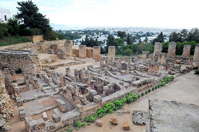 Tunis, Sidi Bousaid and Carthage Day Trip From Monastir - Reviews