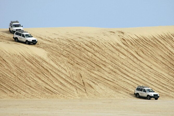 Tunisian Sahara Two-Day Tour From Hammamet - Reviews