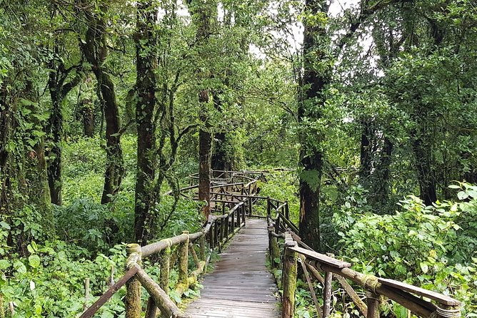 Two Days Doi Inthanon National Park and Karen Trekking - Karen Tribe Cultural Immersion