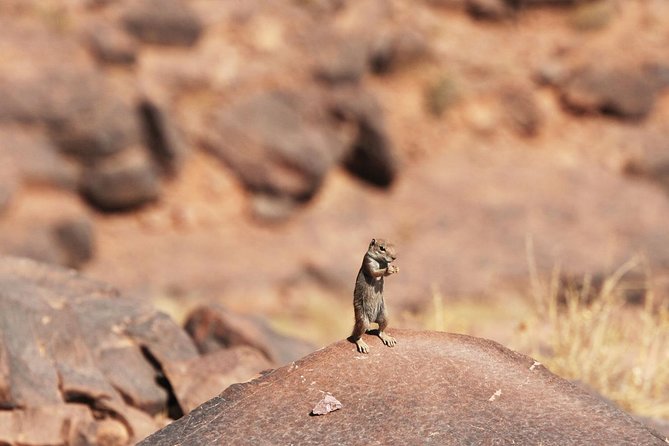 Two Days in the Zagora Desert, Drâa Valley From Marrakech - Tour Experience