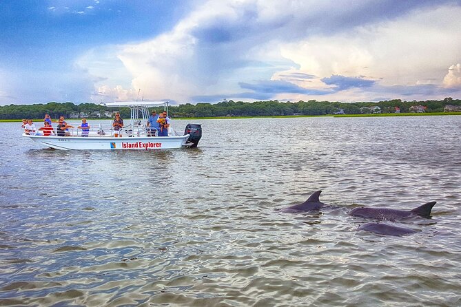 Two Hour Dolphin and Nature Tour - 30 Years in Business