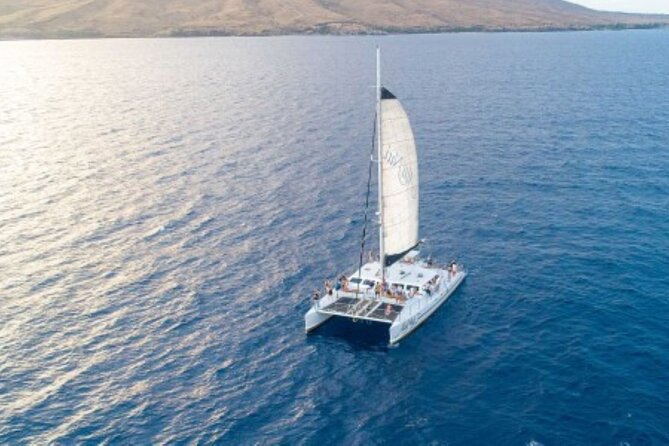 Two Stop Half-Day Snorkel Excursion in Maui - Important Details and Maximum Traveler Limit
