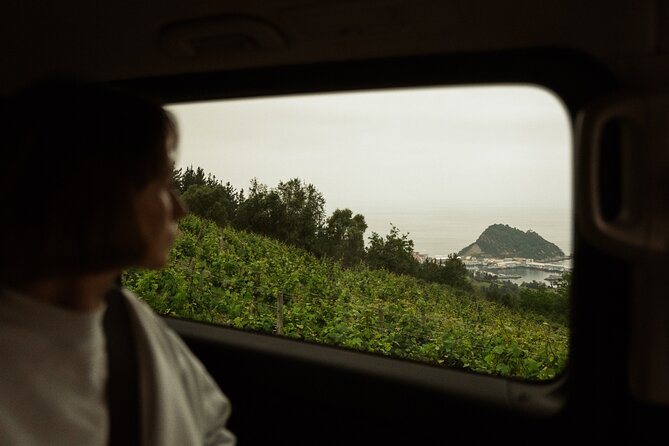 TXAKOLI Vineyards HIKE, ZUMAIA and GETARIA - Private Outdoor & Gastronomic Tour - Exploring Zumaias Coastal Beauty