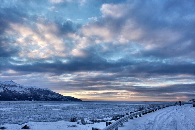 Ultimate Anchorage Winter Wildlife & Sunset Tour - Wildlife Encounters