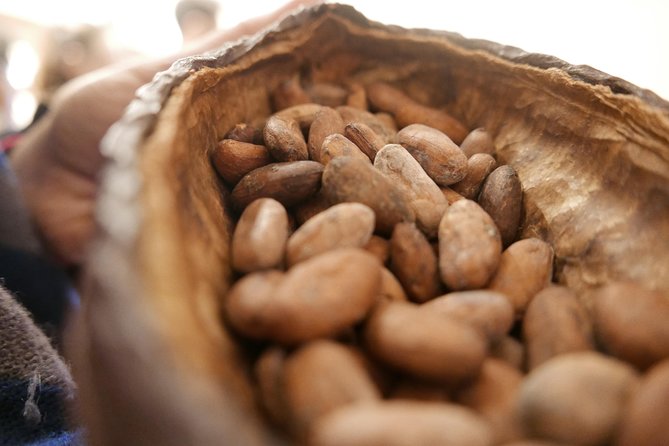 Ultimate Chocolate Tour in Montreal With Included Tastings - Booking and Flexibility