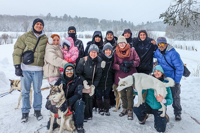 Ultimate Dog Sledding Tour - Day Trip From Ottawa & Gatineau - Traveler Photos and Reviews Overview