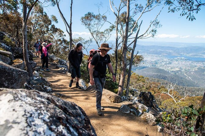 Under the Organ Pipes - Kunanyi/ Mt Wellington Guided Walk - Inclusions and Meeting Point