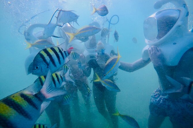 Underwater Sea Trek in San Juan - Equipment and Communication