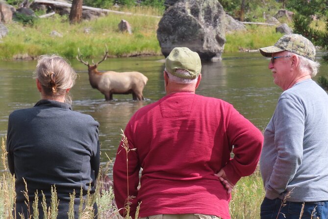 Upper Loop Tour and Lamar Valley From West Yellowstone With Lunch - Start and End Time