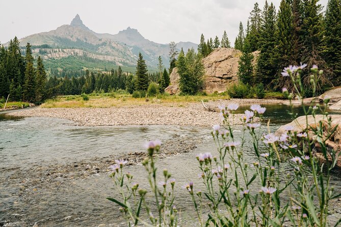 Upper Loop Yellowstone - Nature & Wildlife - Must-Visit Locations