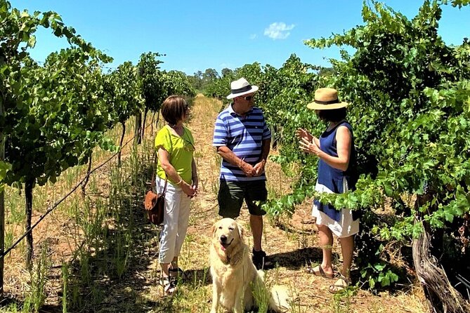 Upper Reach Winery: Swan Valley Winery and Vineyard Tour - Traveler Photos