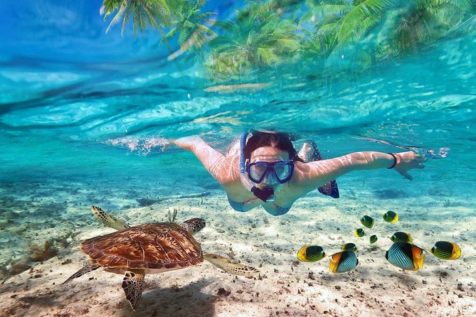 V.I.P Snorkeling & Fishing Tour ( Speed Boat ) Minimum 02 People - Itinerary