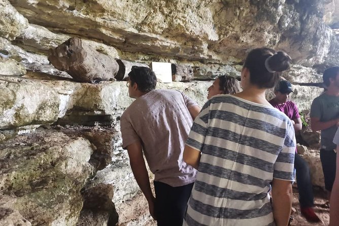 Valladolid Mayan Bees Tour With Lunch or Breakfast and Honey Tasting - Public Transportation and Infant Policy