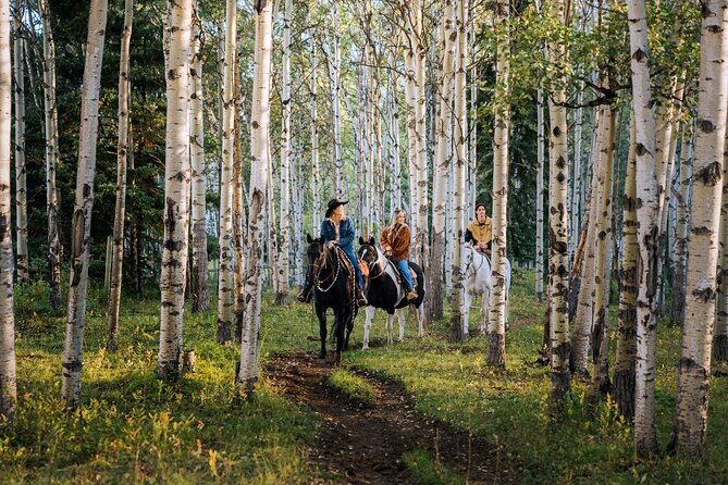 Valley Vista 1.5 Hour Horseback Trail Ride in Kananaskis - Overview of the Trail Ride