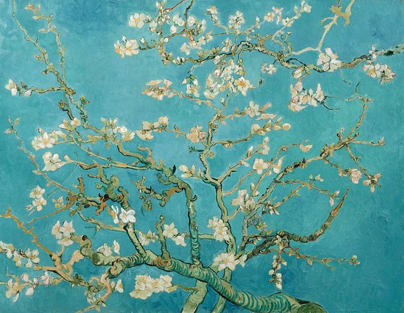 Van Gogh Museum Amsterdam & 1-Hour Canal Cruise - Priority Admission: Skip the Long Lines