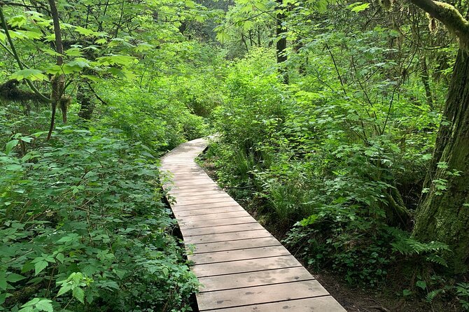 Vancouver Rainforest Hike With Waterfalls, Suspension Bridge, Old Growth Forest - Meeting and Pickup