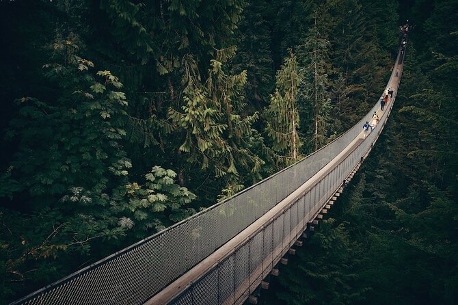 Vancouver Small Group Night Tour W/Capilano Grouse Mtn Dinner - Expert Guides and Knowledgeable Staff