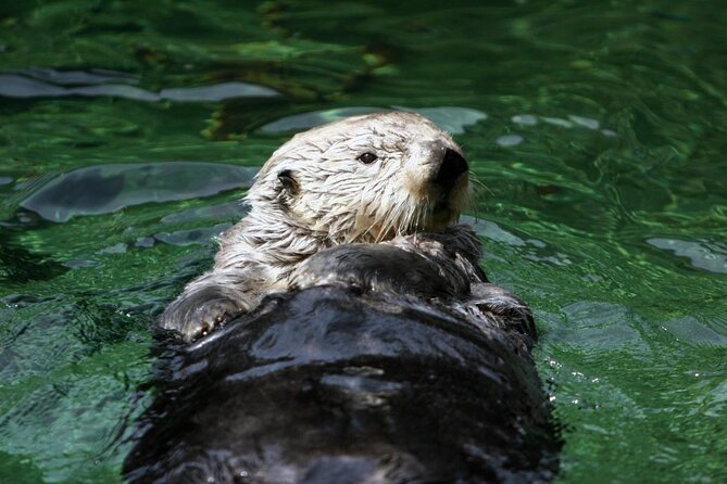 Vancouver - True Crime Walking Tour, Gastown to Stanley Park - Key Landmarks and Attractions