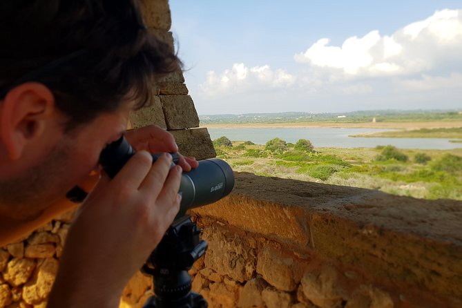 Vendicari - Sicilys Best Coast Nature Reserve ( Birdwatching & Archeology ) - Exploring the Archeological Sites of Vendicari